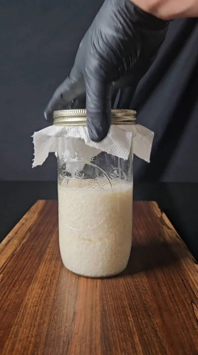 How to Make Amazake