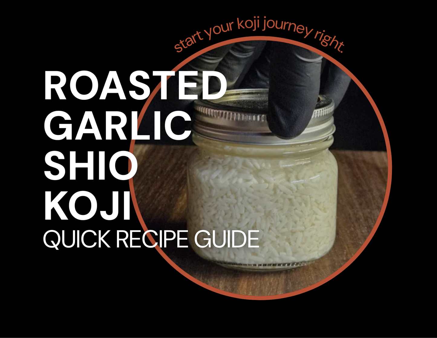 Roasted Garlic Shio Koji Recipe