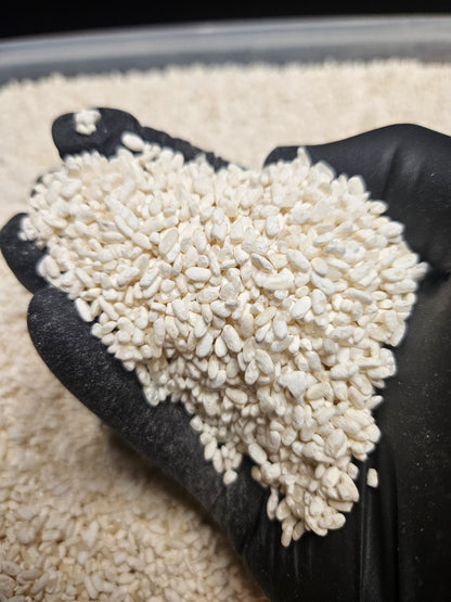Premium Polished Umami Rice Koji ● Limited Release (1KG)